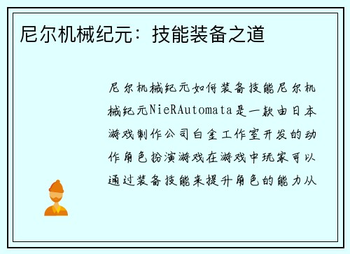 尼尔机械纪元：技能装备之道